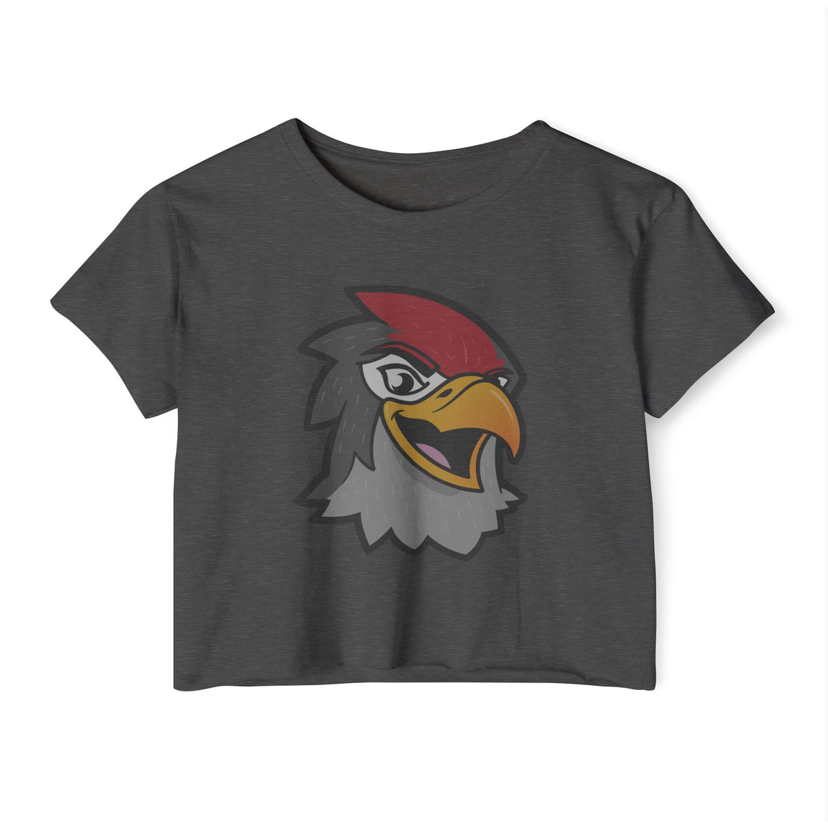 Flyers Spirit Crop Tee